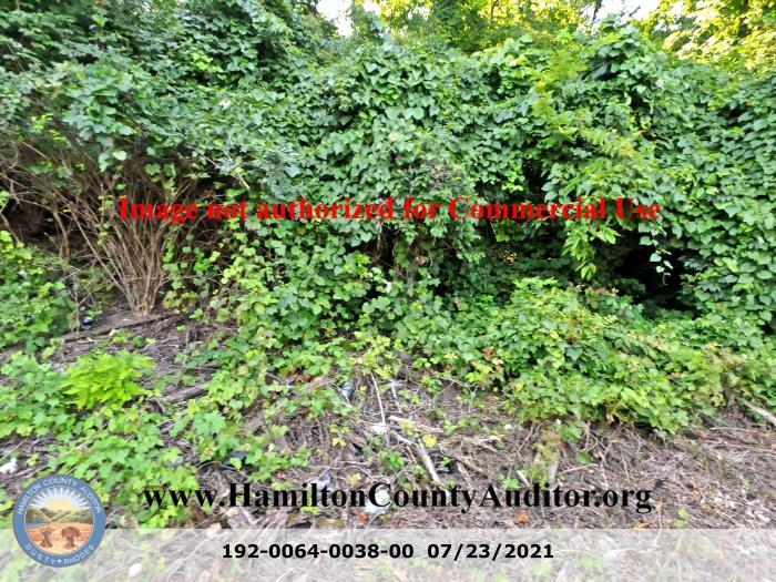 Photo 07/23/2021